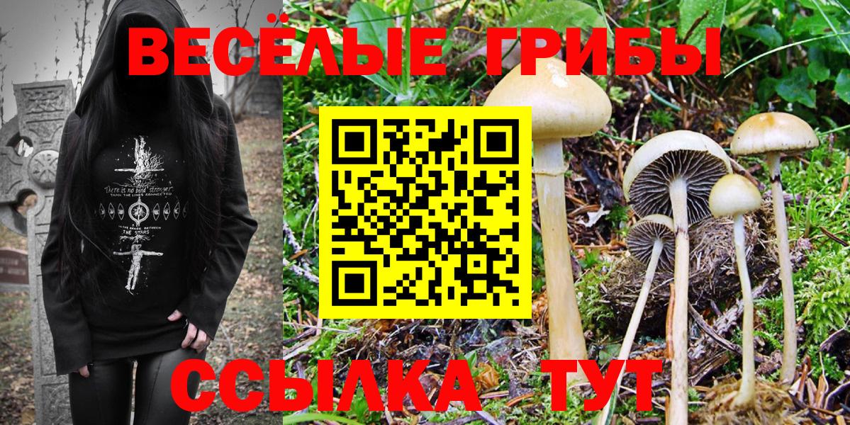 Галлюциногенные грибы ЛСД  Вход с VPN  Сосновоборск 